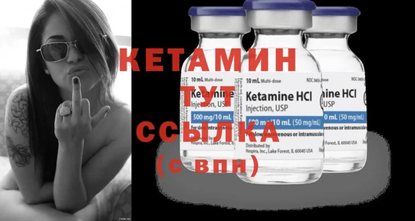 крисы Богородицк