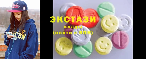 крисы Богородицк