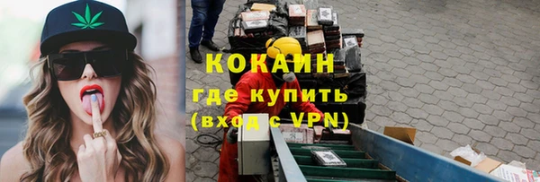 крисы Богородицк