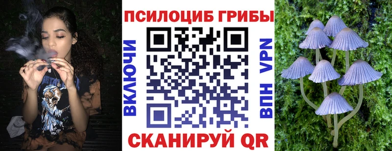 площадка Telegram наркотики Новокузнецк Галлюциногенные грибы MAGIC MUSHROOMS